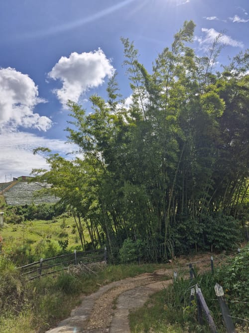 Lote en venta en Alto Del Mercado, Marinilla · foto 21 de 21