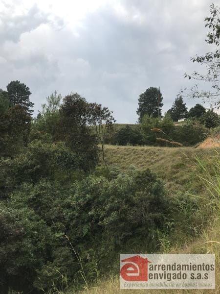 Lote en venta en El Retiro, 5000 m² · foto 3 de 4