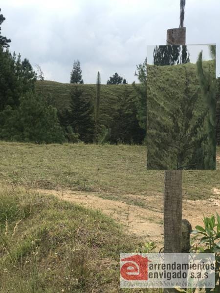 Lote en venta en El Retiro, 5000 m² · foto 4 de 4