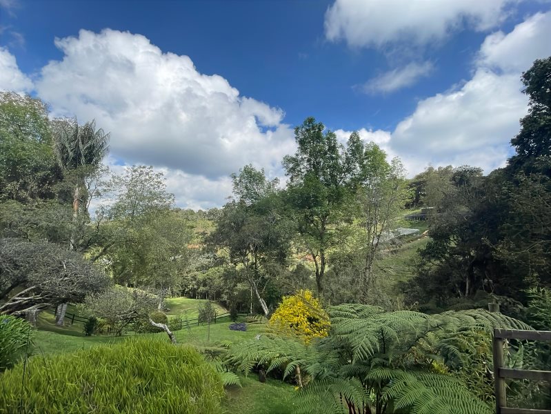 3BR House in Vía Las Palmas for Sale - 2