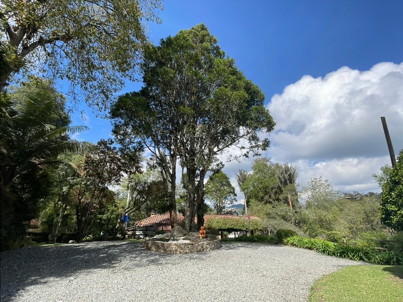 3BR House in Vía Las Palmas for Sale - 3