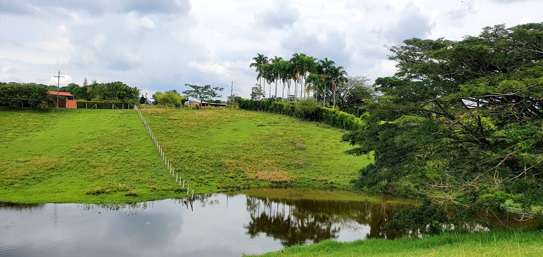 Lote en venta en Cerritos, Pereira, 2038 m² · foto 13 de 24