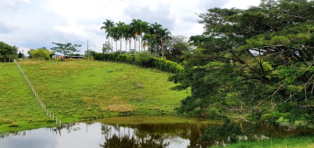 Lote en venta en Cerritos, Pereira, 2038 m² · foto 11 de 24