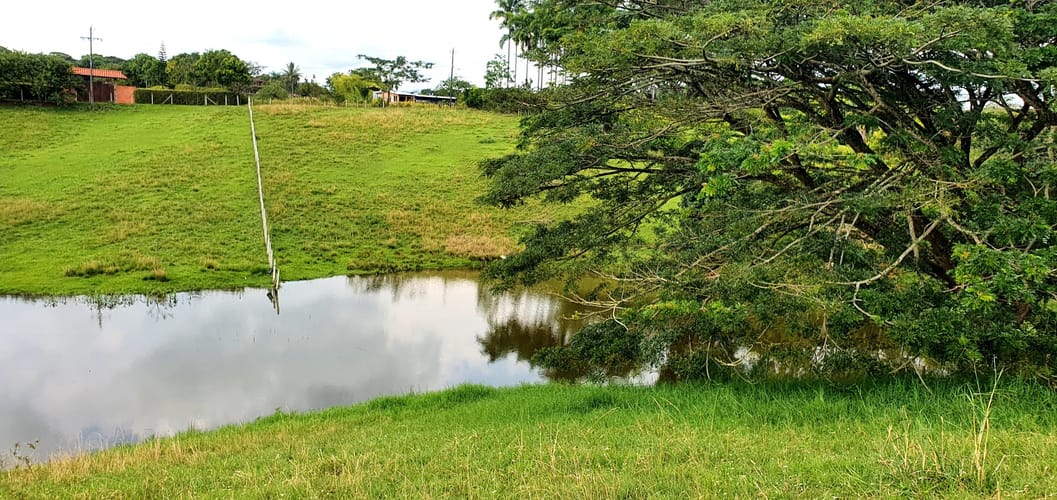Lote en venta en Cerritos, Pereira, 2038 m² · foto 9 de 24