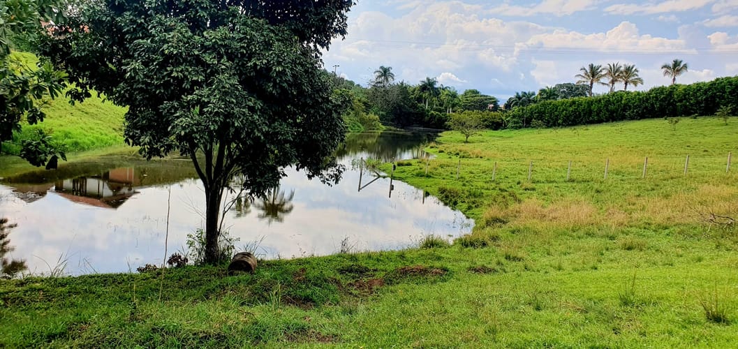 Lote en venta en Cerritos, Pereira, 2038 m² · foto 22 de 24
