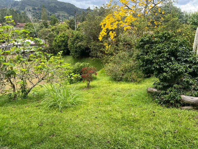 Casa de 5 alcobas en venta en Compa�Ia Abajo, Guarne · foto 8 de 24