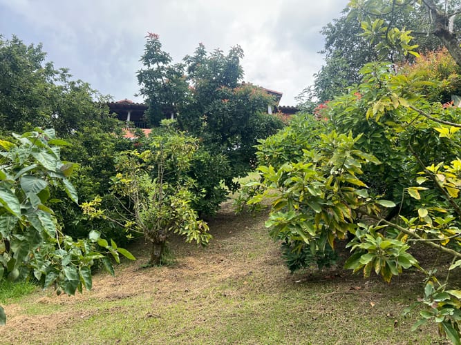 Casa de 5 alcobas en venta en Compa�Ia Abajo, Guarne · foto 6 de 24
