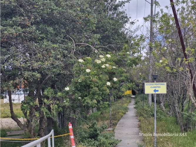 Lote en venta en Ub El Trebol, Mosquera, 11000 m² · foto 12 de 24