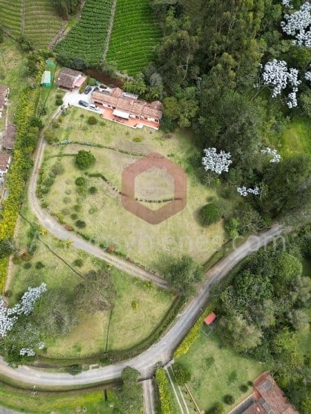 Finca en venta en La Ceja, 10000 m² · foto 11 de 12