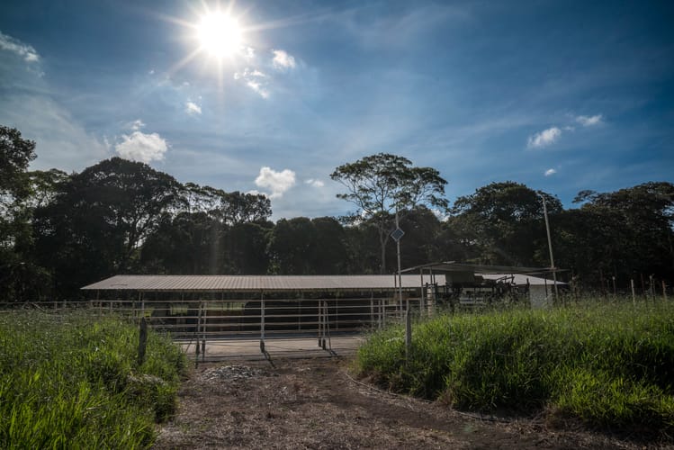 Finca en venta en Mesa De Los Santos, Piedecuesta, 100000 m² · foto 4 de 12