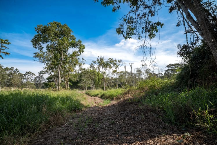 Finca en venta en Mesa De Los Santos, Piedecuesta, 100000 m² · foto 6 de 12