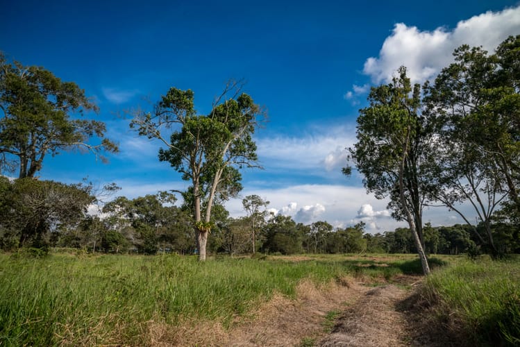 Finca en venta en Mesa De Los Santos, Piedecuesta, 100000 m² · foto 10 de 12