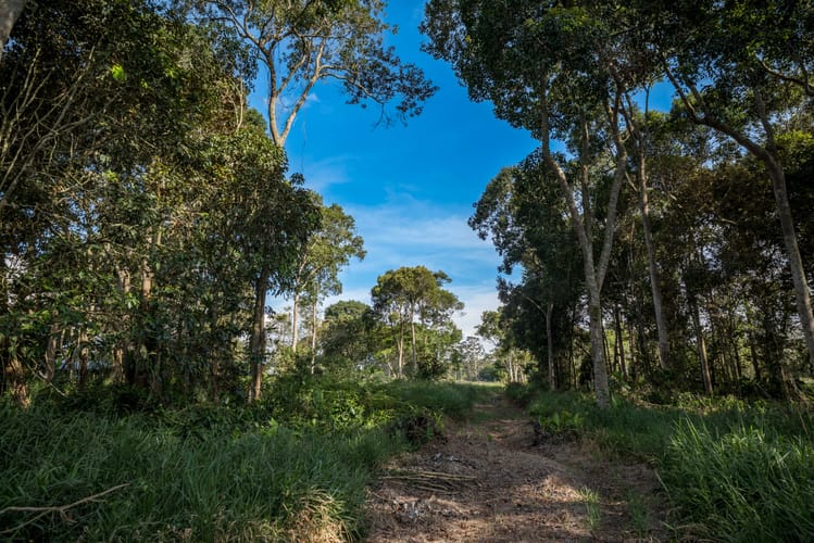 Finca en venta en Mesa De Los Santos, Piedecuesta, 100000 m² · foto 11 de 12