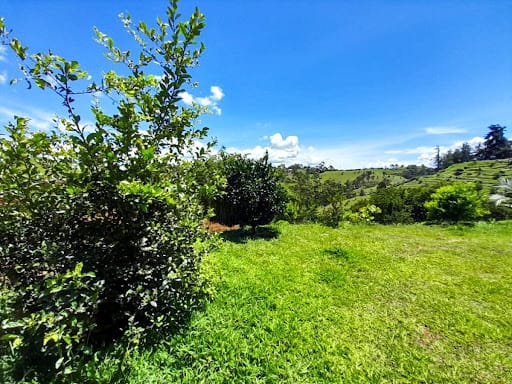Finca en venta en Campo Alegre, Marinilla, 111 m² · foto 15 de 19