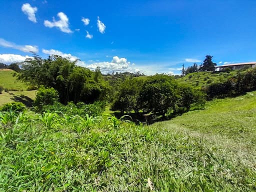 Finca en venta en Campo Alegre, Marinilla, 111 m² · foto 16 de 19
