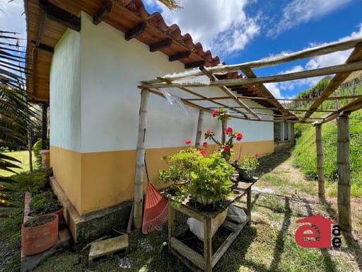 Finca en venta en Las Cabañas, Marinilla, 3600 m² · foto 15 de 24
