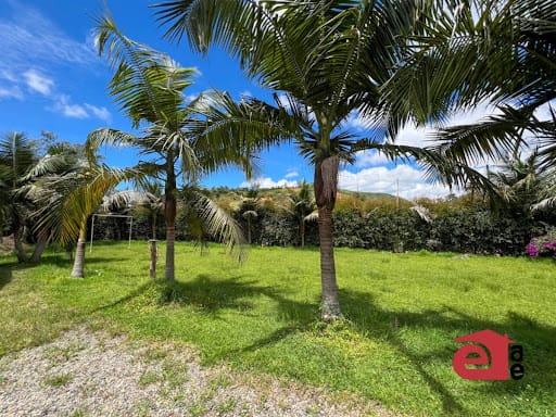 Finca en venta en Las Cabañas, Marinilla, 3600 m² · foto 17 de 24