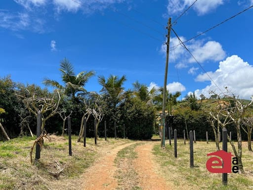 Finca en venta en Las Cabañas, Marinilla, 3600 m² · foto 22 de 24