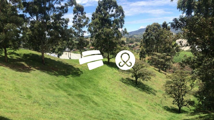 Lote en venta en Santa Ana, El Carmen de Viboral, 76335 m² · foto 4 de 6