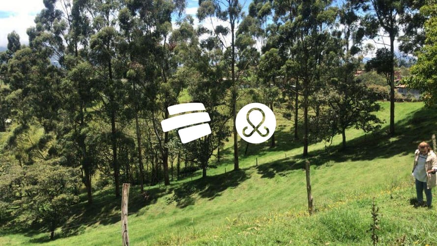 Lote en venta en Santa Ana, El Carmen de Viboral, 76335 m² · foto 5 de 6
