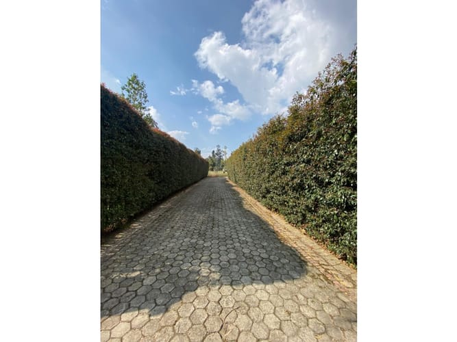 Lote en venta en Fonquetá, Chía, 1602 m² · foto 5 de 8