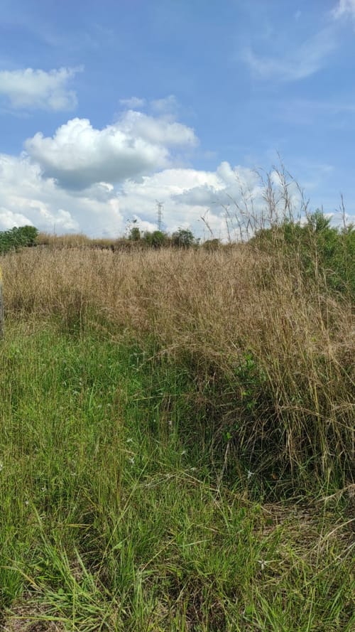Lote en venta en Cerritos, Pereira, 10273 m² · foto 3 de 7