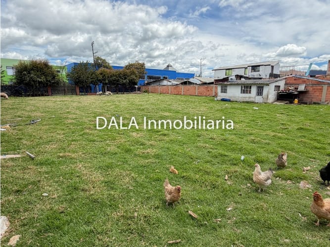 Lote en venta en Canelon, Cajicá, 1147 m² · foto 5 de 11