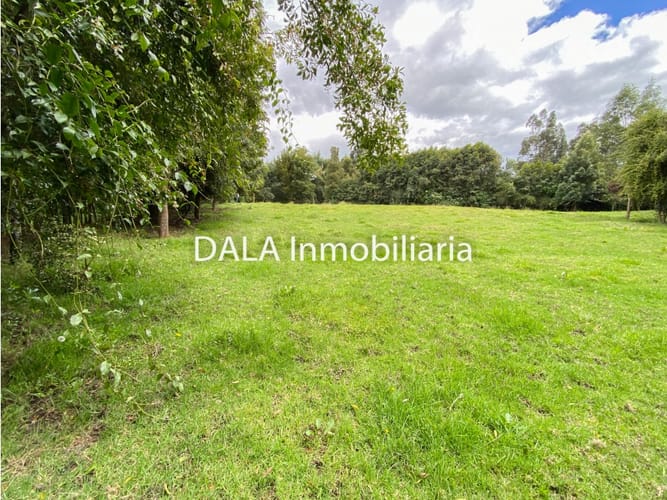 Lote en venta en Canelon, Cajicá, 3895 m² · foto 11 de 22