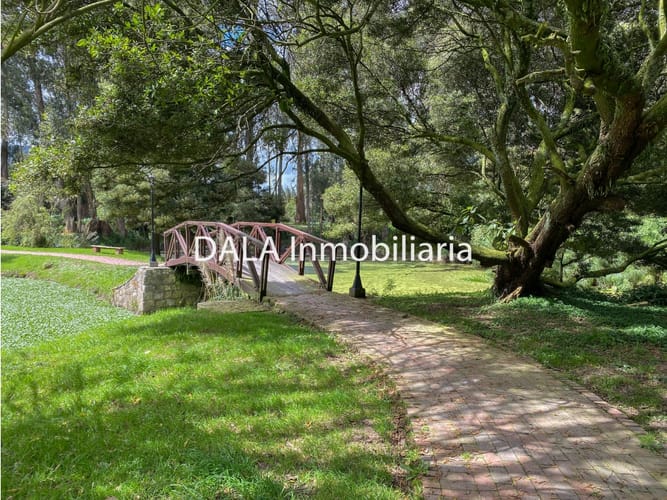Lote en venta en Canelon, Cajicá, 3895 m² · foto 21 de 22