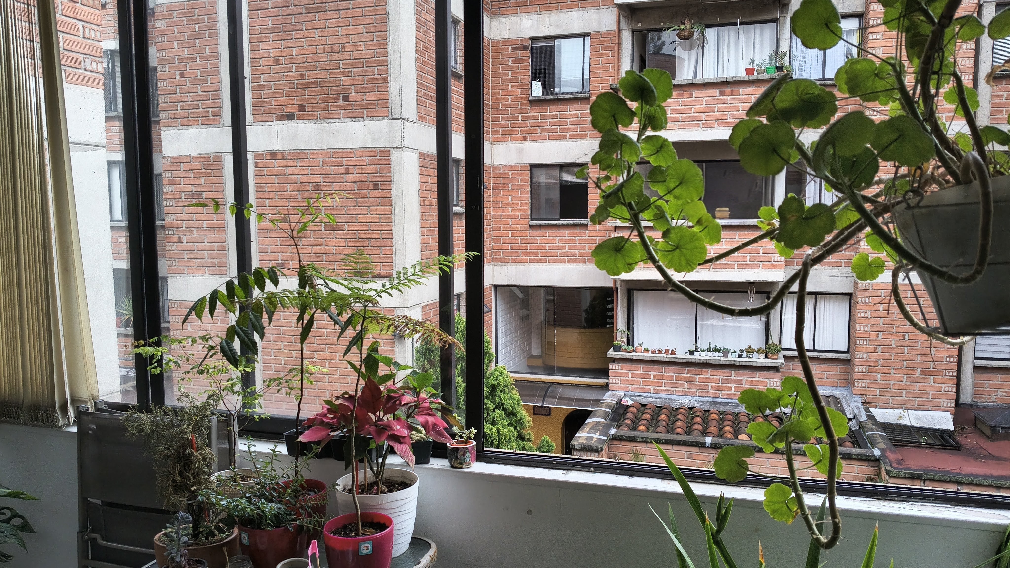 Apartamento en venta en Belén, Medellín · foto 5 de 24