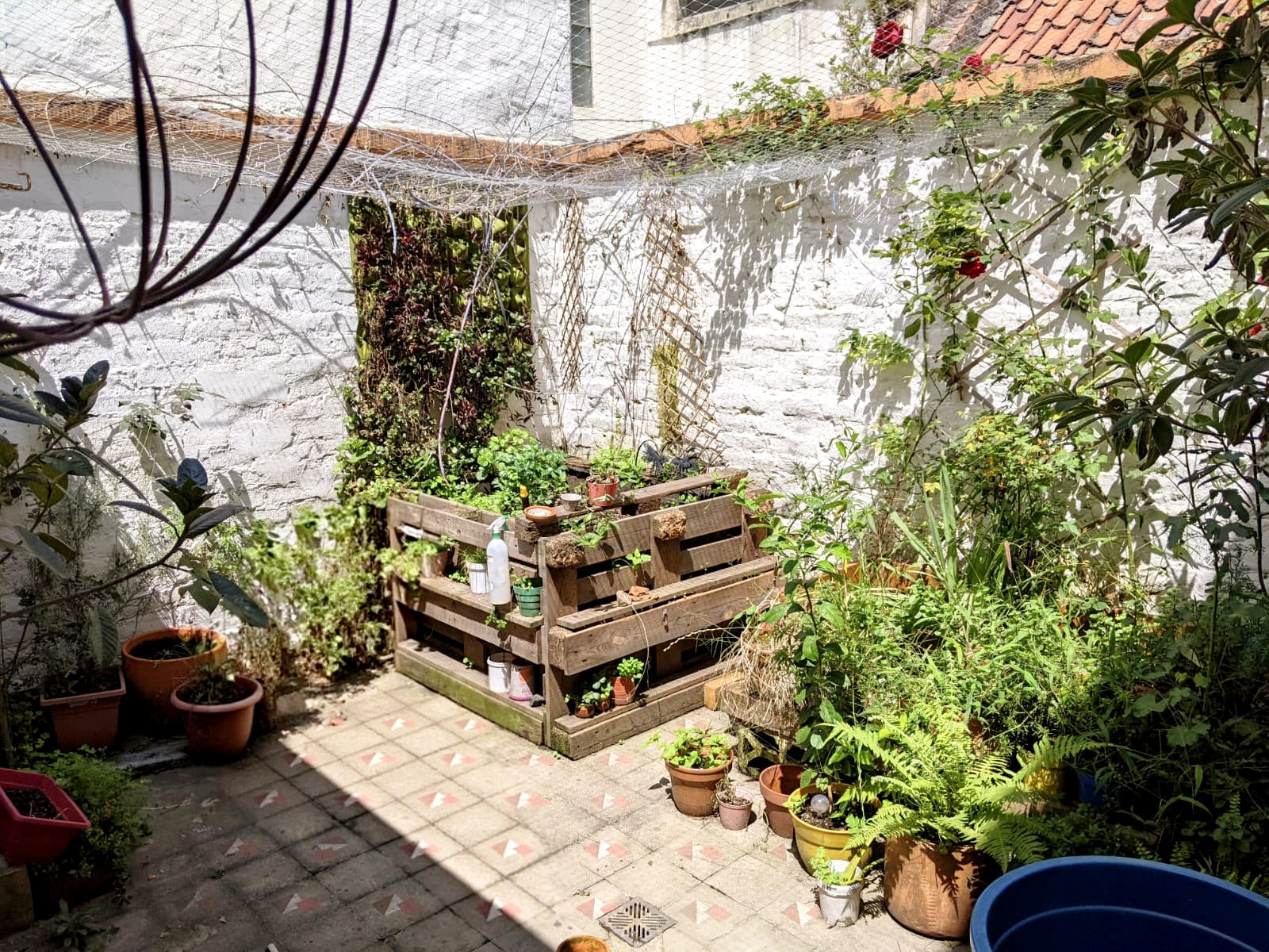 Casa en venta en Parque Central Bavaria, Bogotá · foto 12 de 24