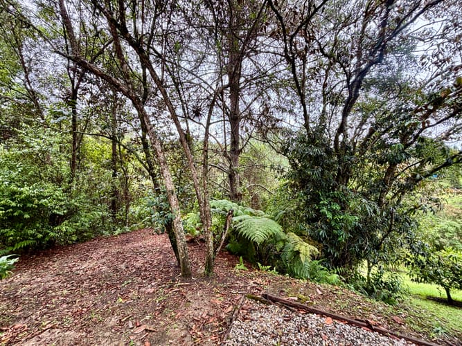 Casa de 5 alcobas en venta en El Retiro, 409 m² · foto 19 de 21