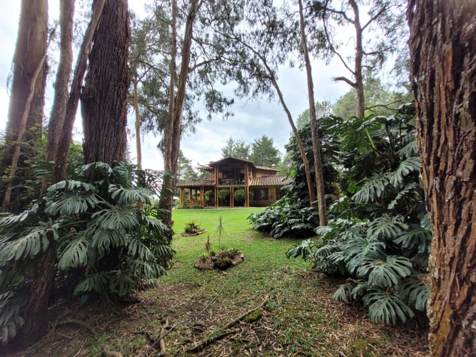 Finca en venta en Cabeceras De Llanogrande, Rionegro, 400 m² · foto 5 de 24