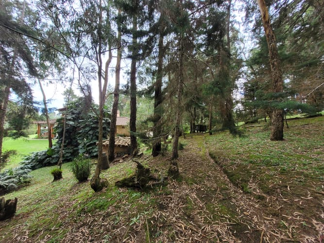 Finca en venta en Cabeceras De Llanogrande, Rionegro, 400 m² · foto 6 de 24