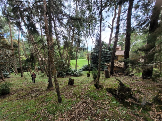 Finca en venta en Cabeceras De Llanogrande, Rionegro, 400 m² · foto 7 de 24