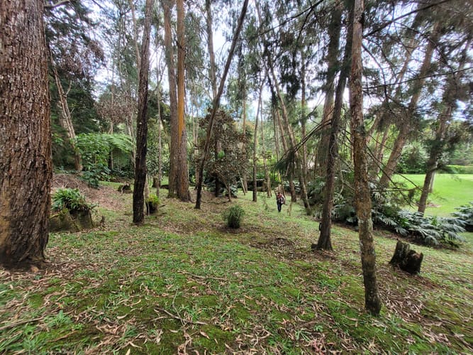 Finca en venta en Cabeceras De Llanogrande, Rionegro, 400 m² · foto 9 de 24