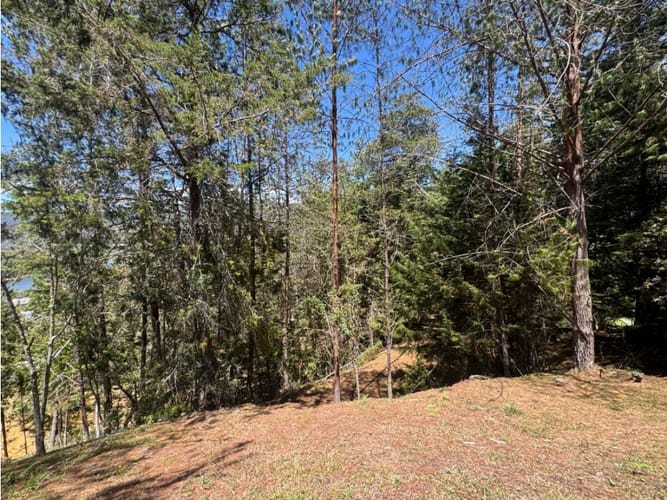Lote en venta en Los Salados, El Retiro, 15500 m² · foto 3 de 14