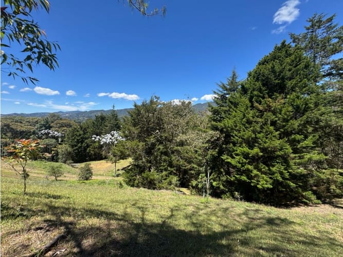 Lote en venta en Los Salados, El Retiro, 15500 m² · foto 9 de 14