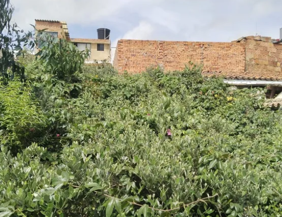 Casa de 5 alcobas en venta en Tunja, Tunja, 305 m² · foto 7 de 17
