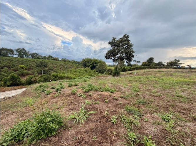 Lote en venta en Pueblo Tapao, Armenia, 1200 m² · foto 2 de 12