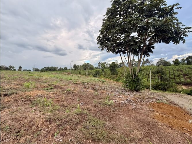 Lote en venta en Pueblo Tapao, Armenia, 1200 m² · foto 3 de 12