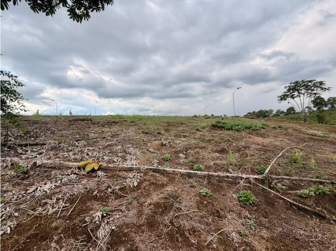 Lote en venta en Pueblo Tapao, Armenia, 1200 m² · foto 4 de 12