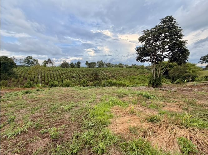 Lote en venta en Pueblo Tapao, Armenia, 1200 m² · foto 5 de 12
