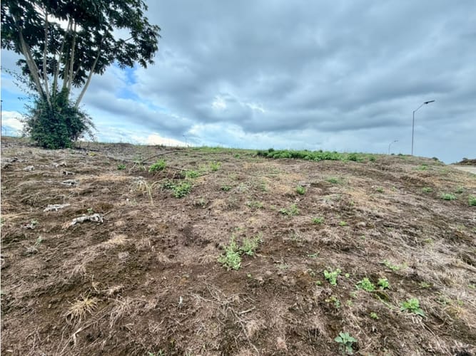 Lote en venta en Pueblo Tapao, Armenia, 1200 m² · foto 6 de 12