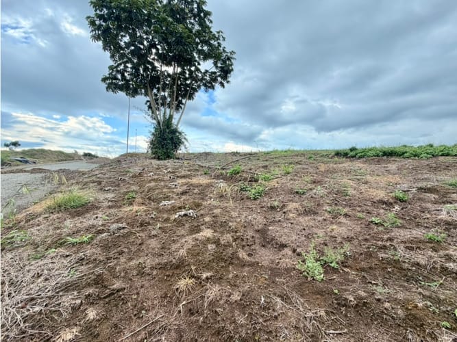 Lote en venta en Pueblo Tapao, Armenia, 1200 m² · foto 7 de 12