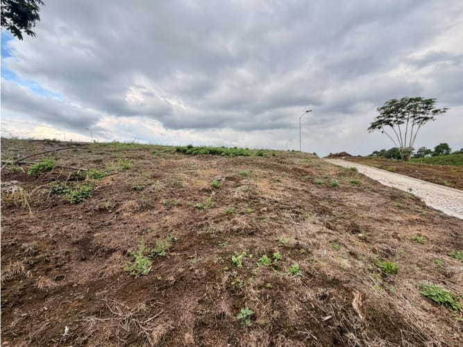 Lote en venta en Pueblo Tapao, Armenia, 1200 m² · foto 8 de 12