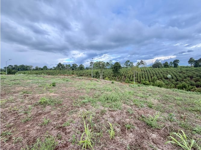Lote en venta en Pueblo Tapao, Armenia, 1200 m² · foto 9 de 12