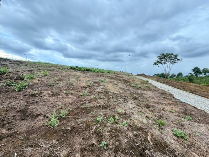 Lote en venta en Pueblo Tapao, Armenia, 1200 m² · foto 11 de 12