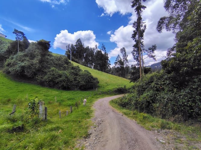 Lote en venta en San Jorge, Zipaquirá, 10000 m² · foto 7 de 21