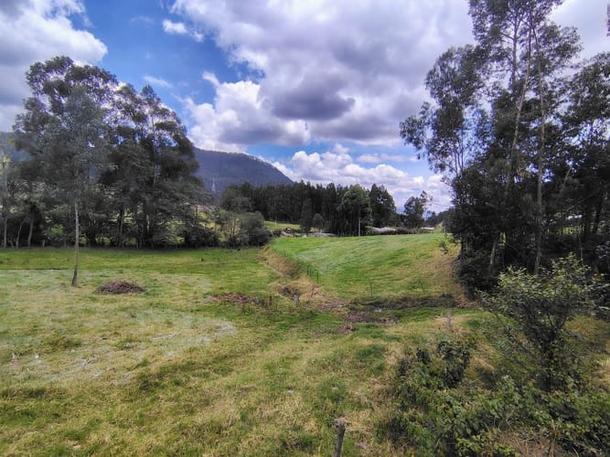 Lote en venta en San Jorge, Zipaquirá, 10000 m² · foto 8 de 21